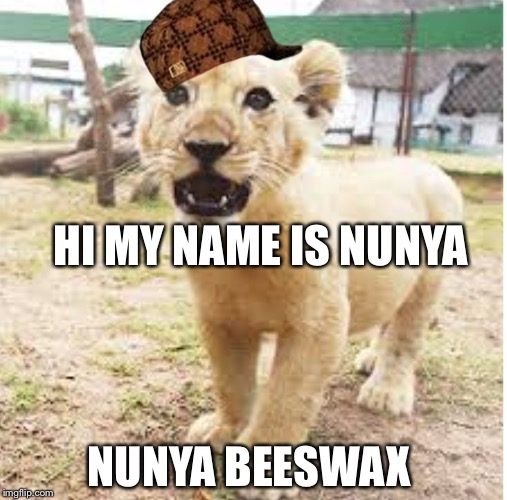 HI MY NAME IS NUNYA; NUNYA BEESWAX | image tagged in greg,scumbag | made w/ Imgflip meme maker