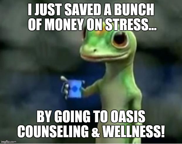 Geico Gecko | I JUST SAVED A BUNCH OF MONEY ON STRESS... BY GOING TO OASIS COUNSELING & WELLNESS! | image tagged in geico gecko | made w/ Imgflip meme maker