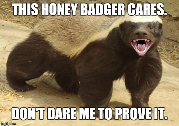 Honey badger | THIS HONEY BADGER CARES. DON'T DARE ME TO PROVE IT. | image tagged in honey badger | made w/ Imgflip meme maker