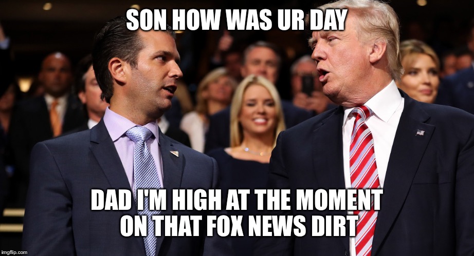 Trump and Trump Jr | SON HOW WAS UR DAY; DAD I'M HIGH AT THE MOMENT ON THAT FOX NEWS DIRT | image tagged in trump and trump jr | made w/ Imgflip meme maker