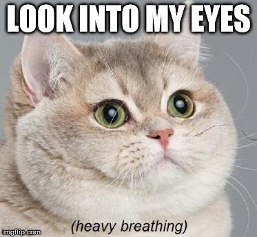 Heavy Breathing Cat | LOOK INTO MY EYES | image tagged in memes,heavy breathing cat | made w/ Imgflip meme maker