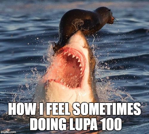 Travelonshark Meme | HOW I FEEL SOMETIMES DOING LUPA 100 | image tagged in memes,travelonshark | made w/ Imgflip meme maker