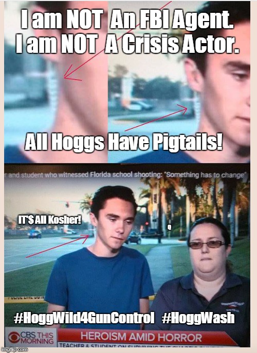 I am not A Crisis Actor: All Hoggs Have Pigtails! It's All Kosher! #HoggWild4GunControl #Parkland #GunControl #HoggWash #MAGA | I am NOT  An FBI Agent. I am NOT  A Crisis Actor. All Hoggs Have Pigtails! IT'$ All Kosher! Q; #HoggWild4GunControl   #HoggWash | image tagged in american politics,pig latin,school shooter,fake news,prostitute,gun control | made w/ Imgflip meme maker