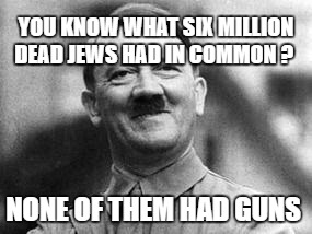 hitler | YOU KNOW WHAT SIX MILLION DEAD JEWS HAD IN COMMON ? NONE OF THEM HAD GUNS | image tagged in hitler | made w/ Imgflip meme maker