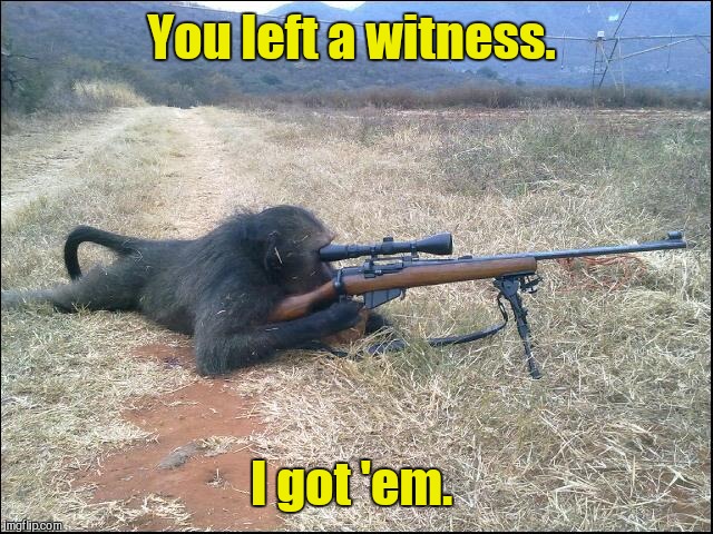 You left a witness. I got 'em. | made w/ Imgflip meme maker