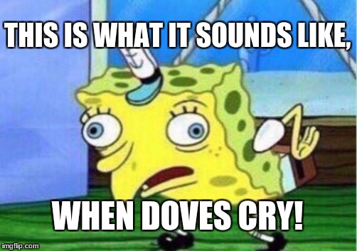 Mocking Spongebob | THIS IS WHAT IT SOUNDS LIKE, WHEN DOVES CRY! | image tagged in memes,mocking spongebob | made w/ Imgflip meme maker