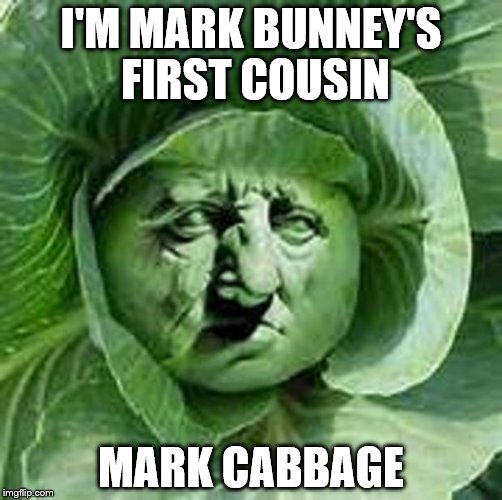 cabbage face | I'M MARK BUNNEY'S FIRST COUSIN; MARK CABBAGE | image tagged in cabbage face | made w/ Imgflip meme maker