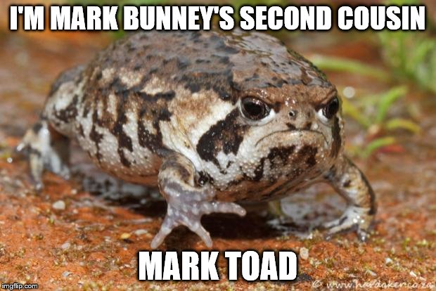 Grumpy Toad | I'M MARK BUNNEY'S SECOND COUSIN; MARK TOAD | image tagged in memes,grumpy toad | made w/ Imgflip meme maker