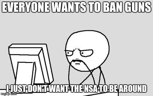 Priorities first. I value my privacy. | EVERYONE WANTS TO BAN GUNS; I JUST DON'T WANT THE NSA TO BE AROUND | image tagged in stickman,computer guy,memes,nsa | made w/ Imgflip meme maker