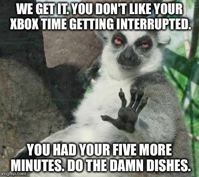 Do the damn dishes now | WE GET IT. YOU DON'T LIKE YOUR XBOX TIME GETTING INTERRUPTED. YOU HAD YOUR FIVE MORE MINUTES. DO THE DAMN DISHES. | image tagged in chill out lemur,memes,dishes,xbox,play,time | made w/ Imgflip meme maker