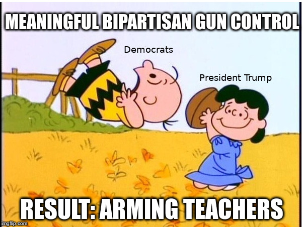 Another Easy Prediction | MEANINGFUL BIPARTISAN GUN CONTROL; RESULT: ARMING TEACHERS | image tagged in callbs,gun control,trump,nra,democrats,republicans | made w/ Imgflip meme maker