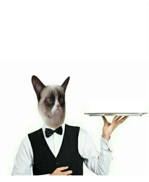 High Quality Grumpy Cat Waiter Blank Meme Template