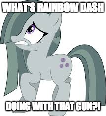 Marble Pie scared | WHAT'S RAINBOW DASH; DOING WITH THAT GUN?! | image tagged in marble pie scared | made w/ Imgflip meme maker