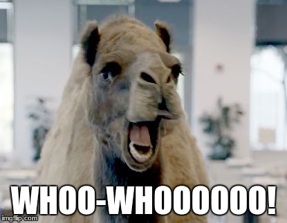 And the Camel sez.. | WHOO-WHOOOOOO! | image tagged in geico camel hump day | made w/ Imgflip meme maker