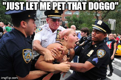 "JUST LET ME PET THAT DOGGO" | image tagged in doggo | made w/ Imgflip meme maker