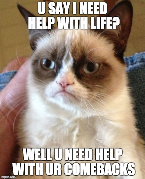 Grumpy Cat Meme | U SAY I NEED HELP WITH LIFE? WELL U NEED HELP WITH UR COMEBACKS | image tagged in memes,grumpy cat | made w/ Imgflip meme maker