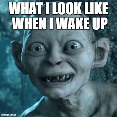 Gollum | WHAT I LOOK LIKE WHEN I WAKE UP | image tagged in memes,gollum | made w/ Imgflip meme maker