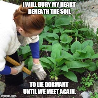 I WILL BURY MY HEART BENEATH THE SOIL; TO LIE DORMANT UNTIL WE MEET AGAIN. | image tagged in meri's garden | made w/ Imgflip meme maker