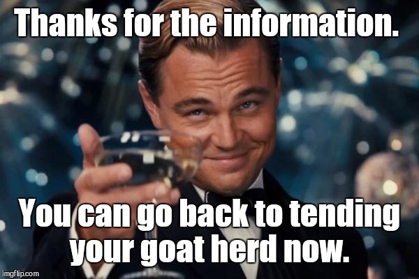 Leonardo Dicaprio Cheers Meme | Thanks for the information. You can go back to tending your goat herd now. | image tagged in memes,leonardo dicaprio cheers | made w/ Imgflip meme maker