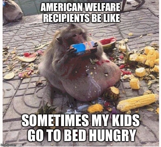 Why is it that everyone on food stamps is fat?  | AMERICAN WELFARE RECIPIENTS BE LIKE; SOMETIMES MY KIDS GO TO BED HUNGRY | image tagged in food stamps | made w/ Imgflip meme maker