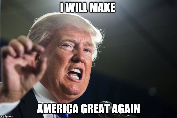donald trump | I WILL MAKE; AMERICA GREAT AGAIN | image tagged in donald trump | made w/ Imgflip meme maker