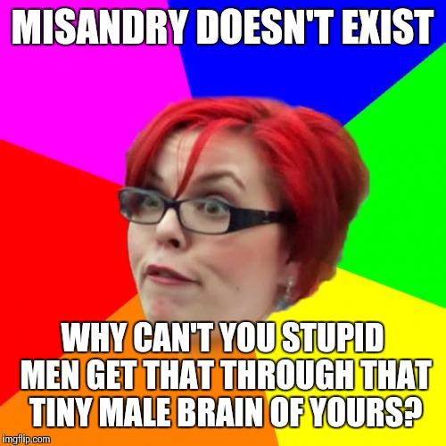 angry feminist | MISANDRY DOESN'T EXIST; WHY CAN'T YOU STUPID MEN GET THAT THROUGH THAT TINY MALE BRAIN OF YOURS? | image tagged in angry feminist | made w/ Imgflip meme maker