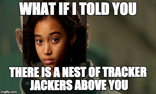Matrix Morpheus | WHAT IF I TOLD YOU; THERE IS A NEST OF TRACKER JACKERS ABOVE YOU | image tagged in memes,matrix morpheus | made w/ Imgflip meme maker