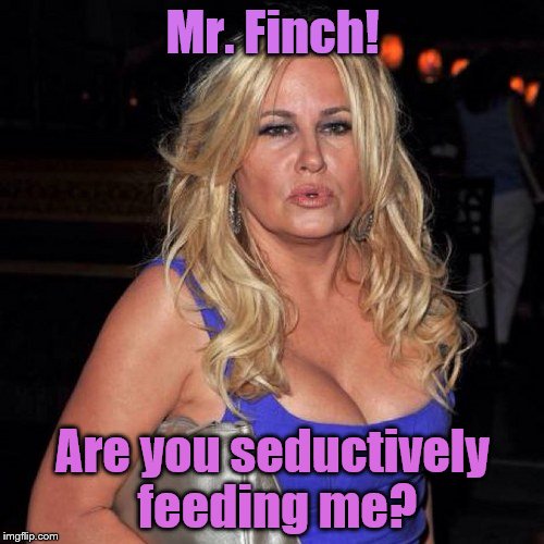 Mr. Finch! Are you seductively feeding me? | made w/ Imgflip meme maker