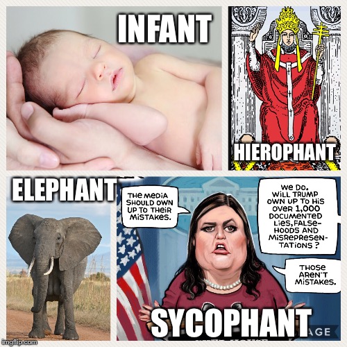 Sycophant | INFANT; HIEROPHANT; ELEPHANT; SYCOPHANT | image tagged in sarah sanders,trump | made w/ Imgflip meme maker