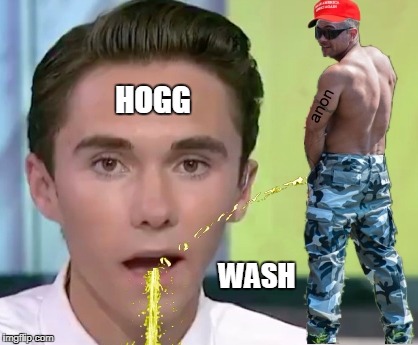 PR @ Dicks Sporting Goods?
#GunControl #HoggWash | HOGG; WASH | made w/ Imgflip meme maker