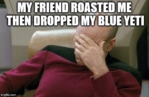 Captain Picard Facepalm Meme | MY FRIEND ROASTED ME THEN DROPPED MY BLUE YETI | image tagged in memes,captain picard facepalm | made w/ Imgflip meme maker