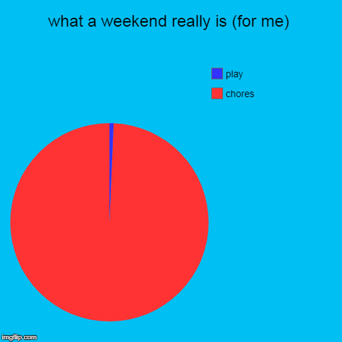 what a weekend really is (for me) | chores, play | image tagged in funny,pie charts | made w/ Imgflip chart maker