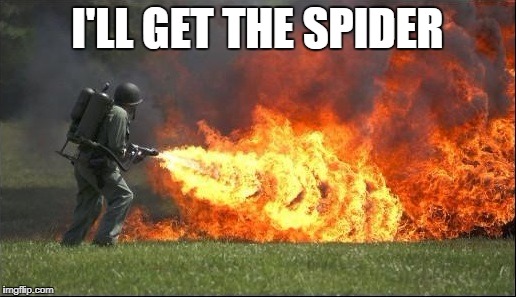 i hate spiders | I'LL GET THE SPIDER | image tagged in kill it with fire | made w/ Imgflip meme maker