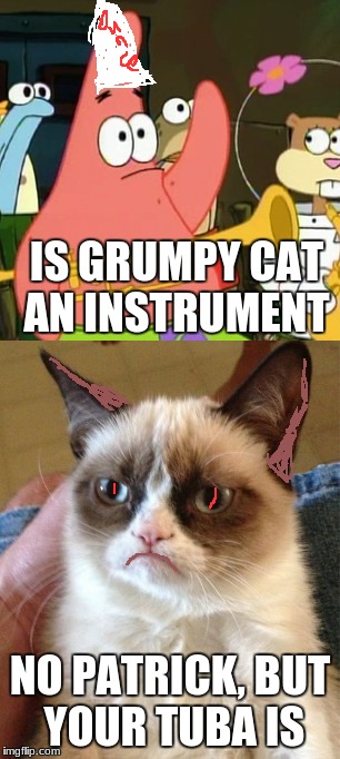 Dumb Patrick | IS GRUMPY CAT AN INSTRUMENT; NO PATRICK, BUT YOUR TUBA IS | image tagged in grumpy cat,no patrick | made w/ Imgflip meme maker