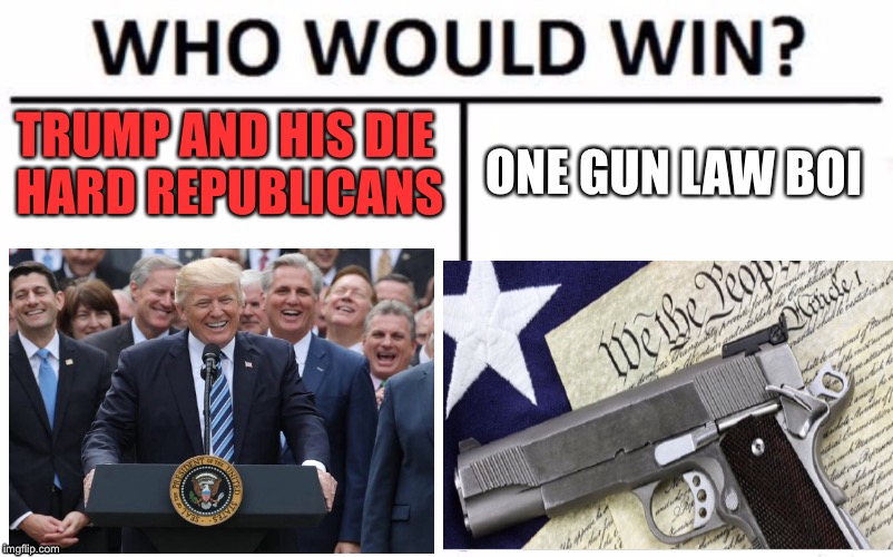 I honestly dont know... | TRUMP AND HIS DIE HARD REPUBLICANS; ONE GUN LAW BOI | image tagged in donald trump,gun control,gun laws,2018,school shooting,republicans | made w/ Imgflip meme maker
