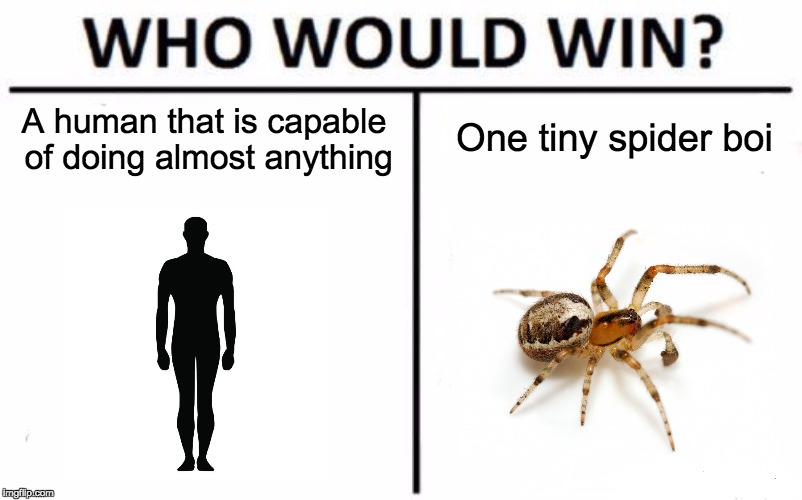 Who Would Win? Meme | A human that is capable of doing almost anything; One tiny spider boi | image tagged in memes,who would win,spiders,funny | made w/ Imgflip meme maker