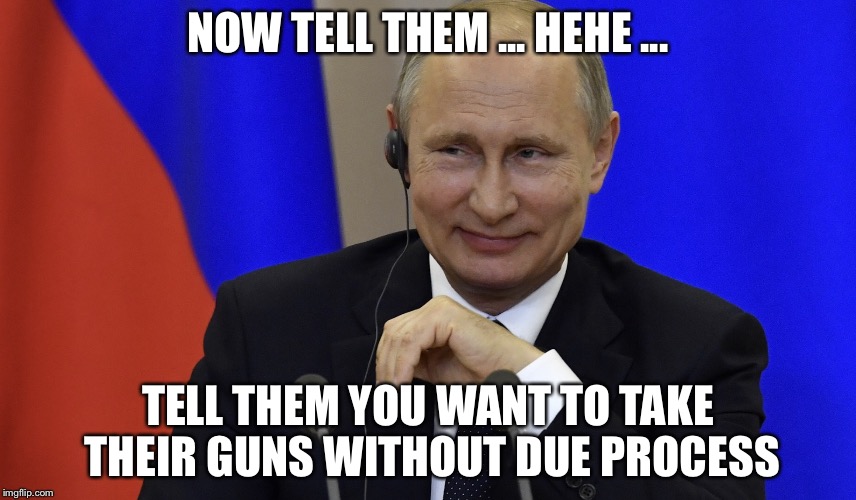 NOW TELL THEM ... HEHE ... TELL THEM YOU WANT TO TAKE THEIR GUNS WITHOUT DUE PROCESS | image tagged in remote control putin | made w/ Imgflip meme maker