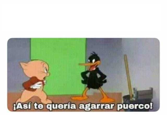 High Quality asi te queria agarrar puerco Blank Meme Template