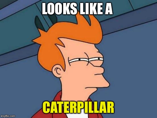 Futurama Fry Meme | LOOKS LIKE A CATERPILLAR | image tagged in memes,futurama fry | made w/ Imgflip meme maker