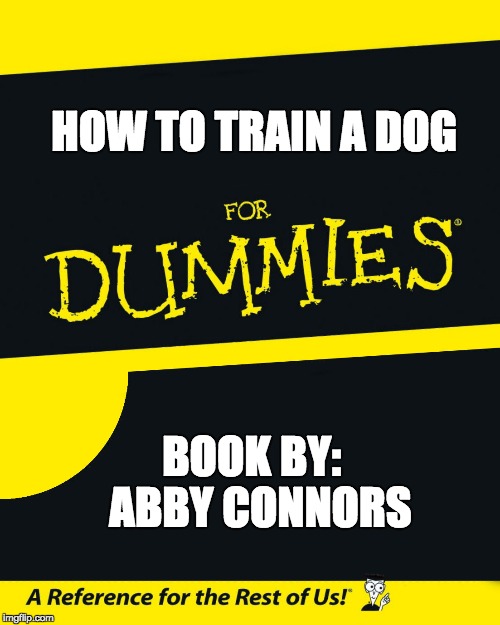 For Dummies | HOW TO TRAIN A DOG; BOOK BY:  ABBY CONNORS | image tagged in for dummies | made w/ Imgflip meme maker