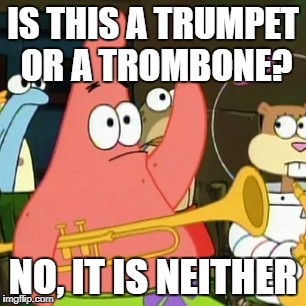 No Patrick Meme | IS THIS A TRUMPET OR A TROMBONE? NO, IT IS NEITHER | image tagged in memes,no patrick | made w/ Imgflip meme maker