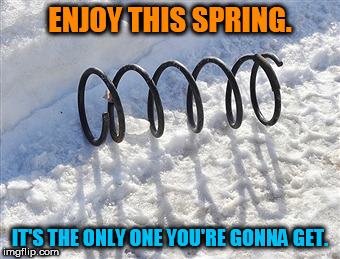 spring in snow | ENJOY THIS SPRING. IT'S THE ONLY ONE YOU'RE GONNA GET. | image tagged in spring in snow | made w/ Imgflip meme maker