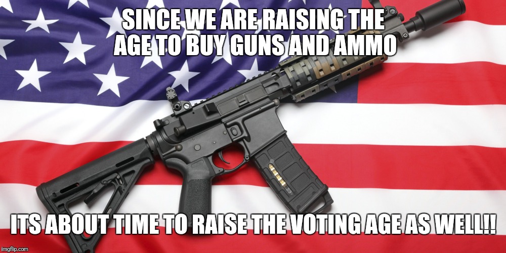 AR-15 and USA Flag | SINCE WE ARE RAISING THE AGE TO BUY GUNS AND AMMO; ITS ABOUT TIME TO RAISE THE VOTING AGE AS WELL!! | image tagged in ar-15 and usa flag | made w/ Imgflip meme maker