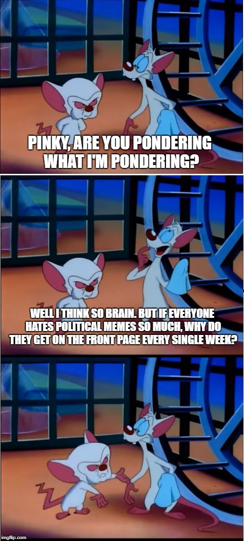 Are You Pondering What I'm Pondering | PINKY, ARE YOU PONDERING WHAT I'M PONDERING? WELL I THINK SO BRAIN. BUT IF EVERYONE HATES POLITICAL MEMES SO MUCH, WHY DO THEY GET ON THE FRONT PAGE EVERY SINGLE WEEK? | image tagged in are you pondering what i'm pondering | made w/ Imgflip meme maker