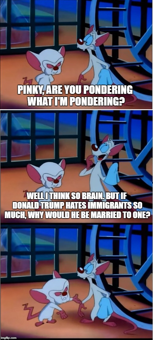 Are You Pondering What I'm Pondering | PINKY, ARE YOU PONDERING WHAT I'M PONDERING? WELL I THINK SO BRAIN. BUT IF DONALD TRUMP HATES IMMIGRANTS SO MUCH, WHY WOULD HE BE MARRIED TO ONE? | image tagged in are you pondering what i'm pondering | made w/ Imgflip meme maker