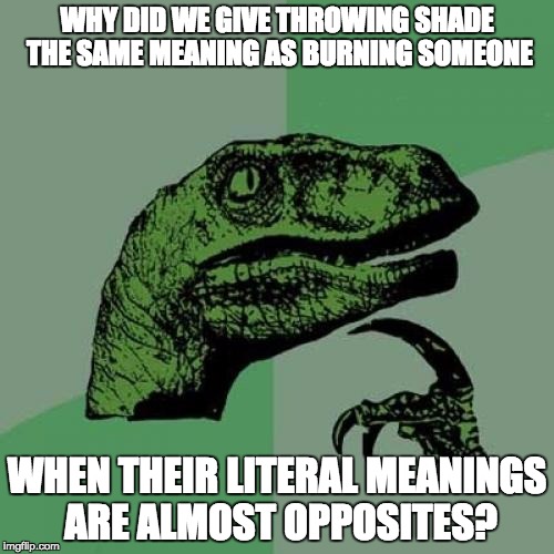 Philosoraptor | WHY DID WE GIVE THROWING SHADE THE SAME MEANING AS BURNING SOMEONE; WHEN THEIR LITERAL MEANINGS ARE ALMOST OPPOSITES? | image tagged in memes,philosoraptor | made w/ Imgflip meme maker