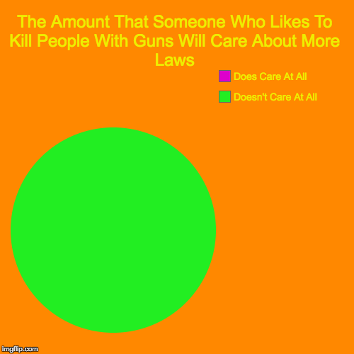The Amount That Someone Who Likes To Kill People With Guns Will Care About More Laws | Doesn't Care At All, Does Care At All | image tagged in funny,pie charts | made w/ Imgflip chart maker
