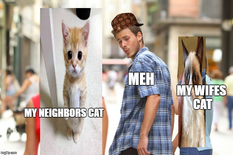 Distracted Boyfriend Meme | MEH; MY WIFES CAT; MY NEIGHBORS CAT | image tagged in memes,distracted boyfriend,scumbag | made w/ Imgflip meme maker