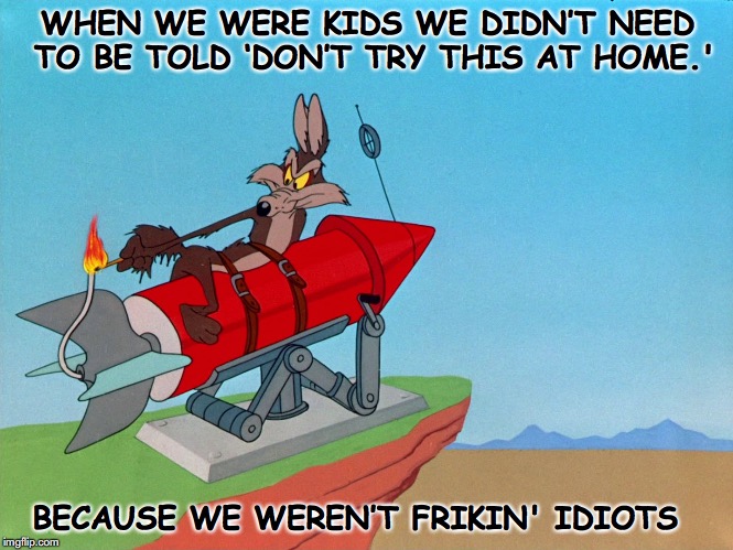 Let Common Sense Prevail  | WHEN WE WERE KIDS WE DIDN’T NEED TO BE TOLD ‘DON’T TRY THIS AT HOME.'; BECAUSE WE WEREN’T FRIKIN' IDIOTS | image tagged in wile e coyote,roadrunner,warning,rocket | made w/ Imgflip meme maker