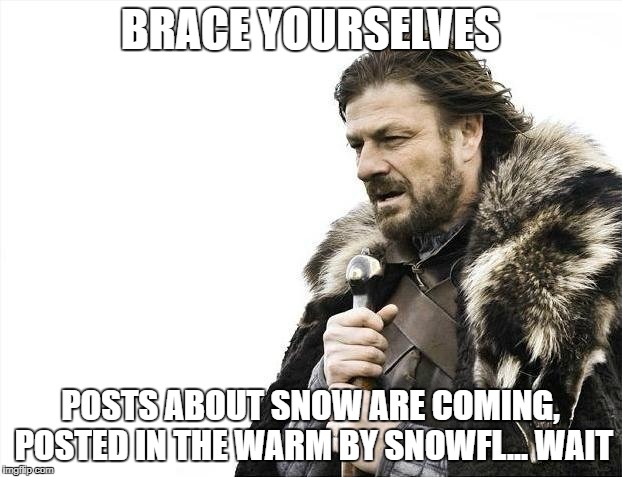 Brace Yourselves X is Coming | BRACE YOURSELVES; POSTS ABOUT SNOW ARE COMING, POSTED IN THE WARM BY SNOWFL... WAIT | image tagged in memes,brace yourselves x is coming | made w/ Imgflip meme maker